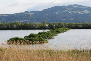 Bodensee